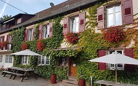 Hôtel du Haut Koenigsbourg - romantisme et nature
